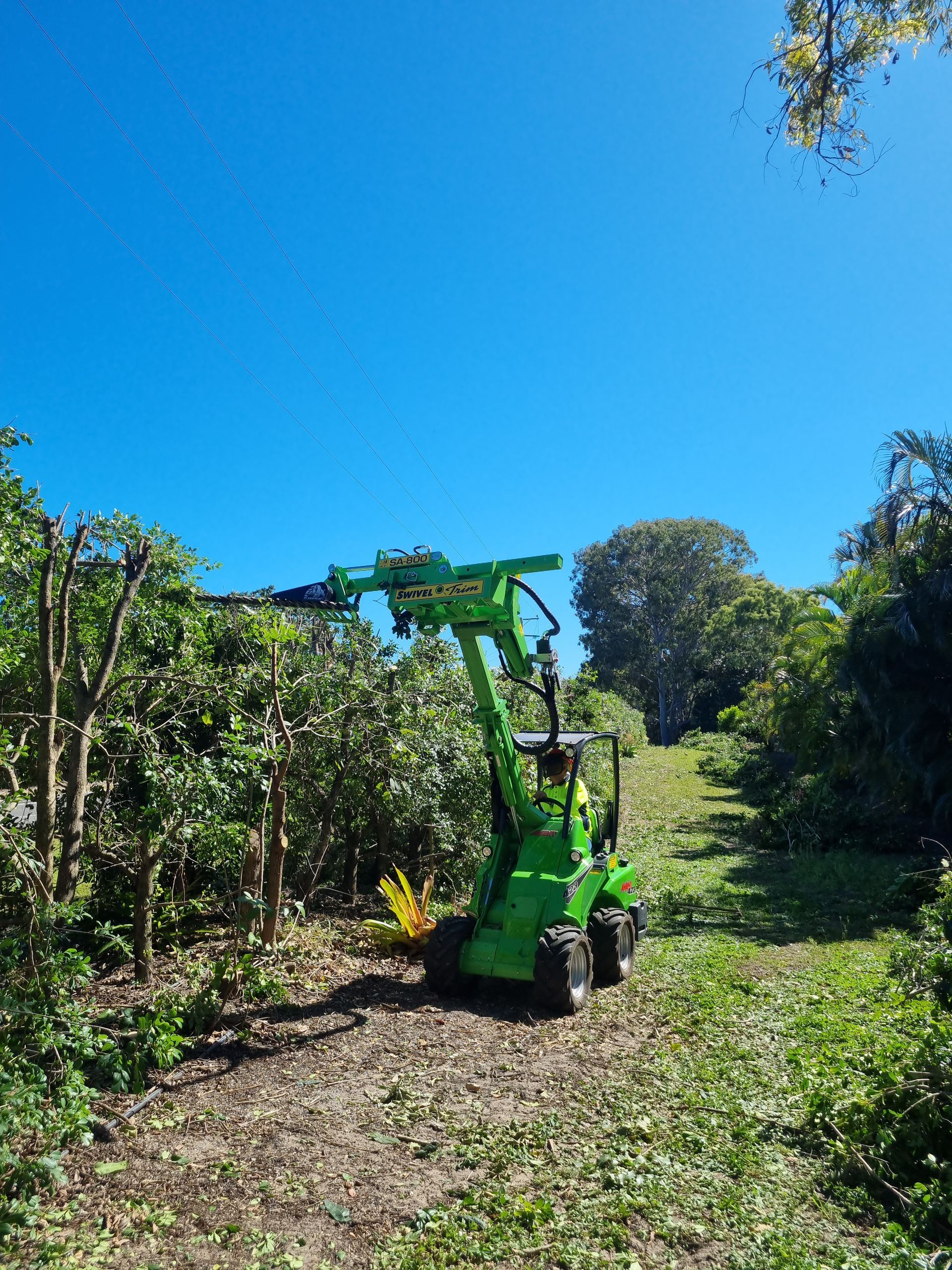 Arborist Reports